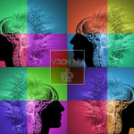 Impacto en el cerebro