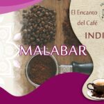 Te Arrepentirás por no probarlo. Malabar, es Ahora!