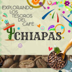 Busca El Nuevo Café De Chiapas, Tesoro de México.