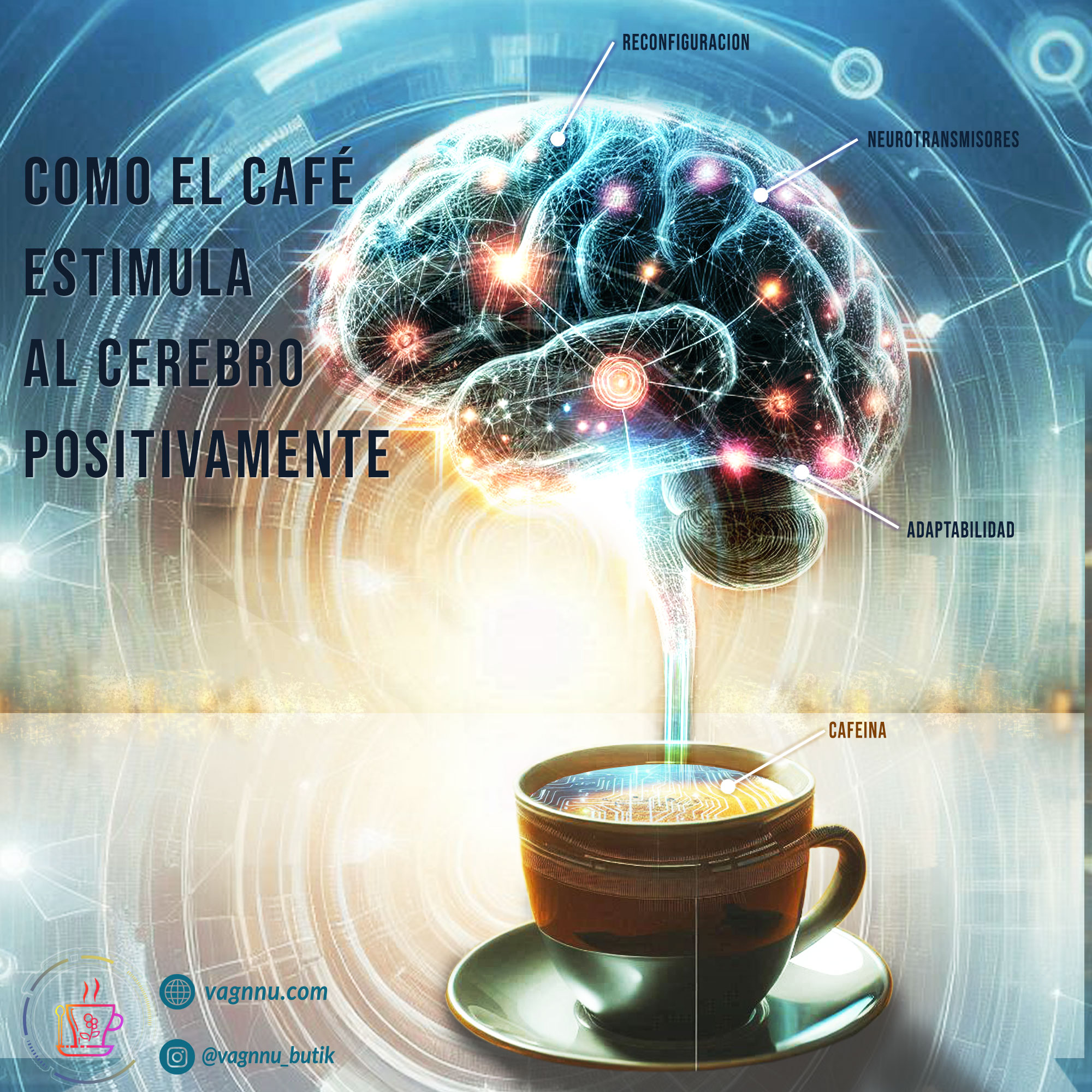 Te cuento como el café estimula al cerebro positiva