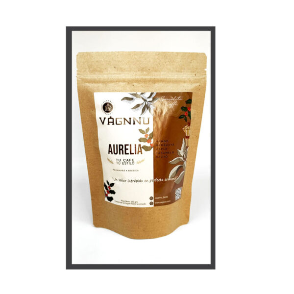 Fondo-Aurelia-Pict2-2 AURELIA