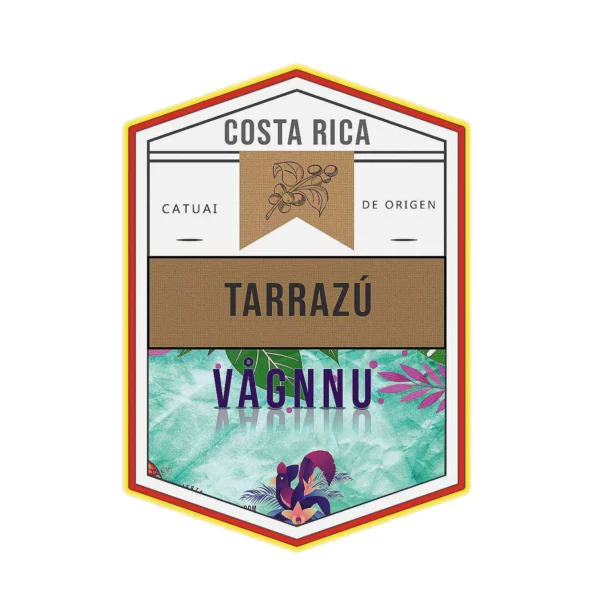 Fondo-CostaRica-Mod Café Tarrazú, Costa Rica | Estándar de Oro | Tostado ligero artesanal resaltando notas cálidas de chocolate, vainilla y un toque de canela | VÅGNNU | vagnnu.com